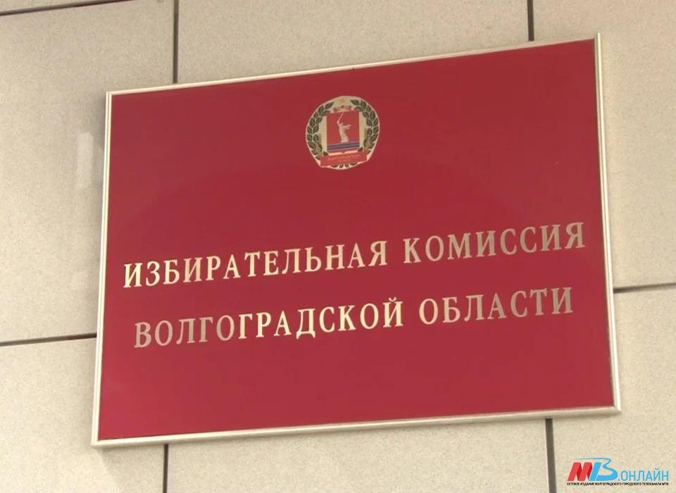В Волгограде утвердили нагрудный знак наблюдателя на выборах